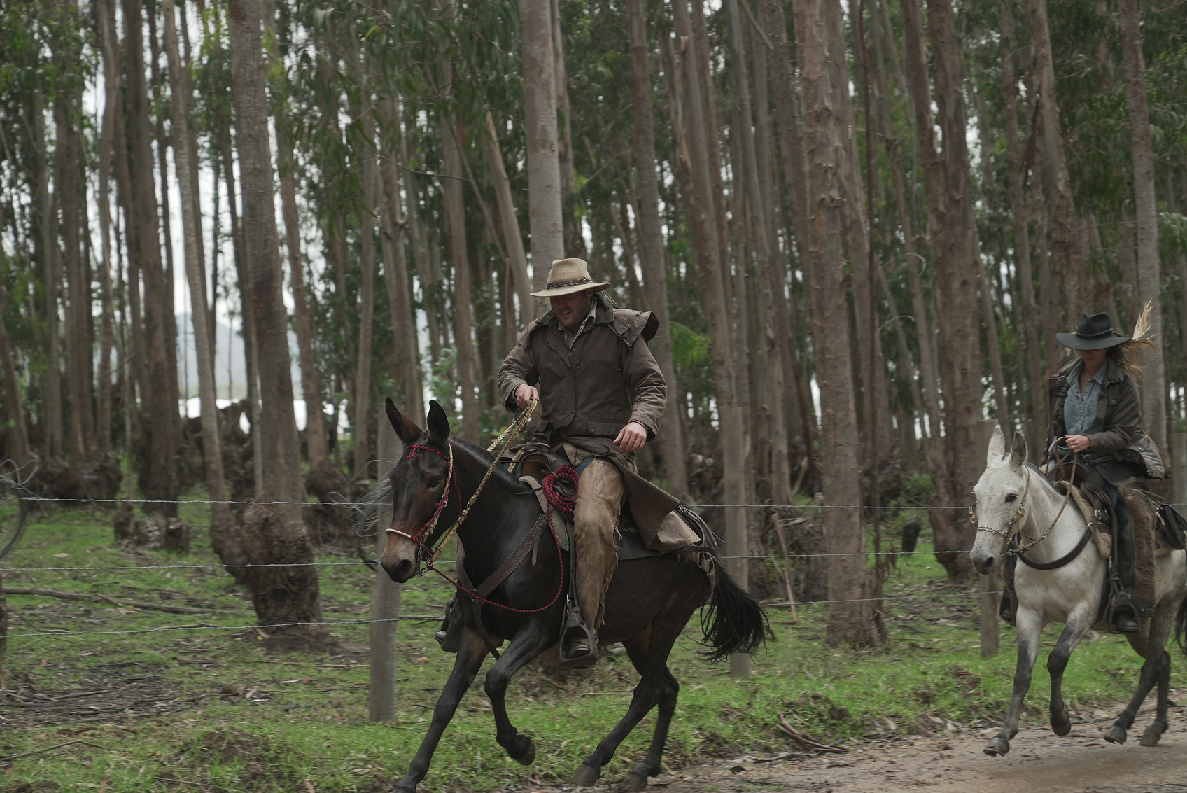 Cabalgata a caballo y mula Senderos San Vicente - Suesca, Colombia