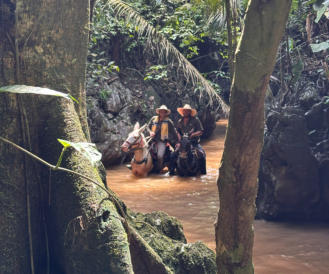 Travesía a caballo y mula Las Cavernas - Antioquia, Colombia