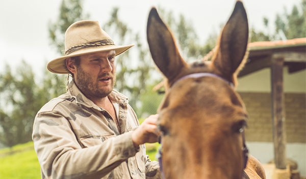 preparación cabalgata