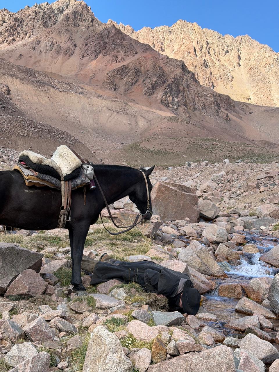 Travesía a caballo cordillera de los Andes Argentina