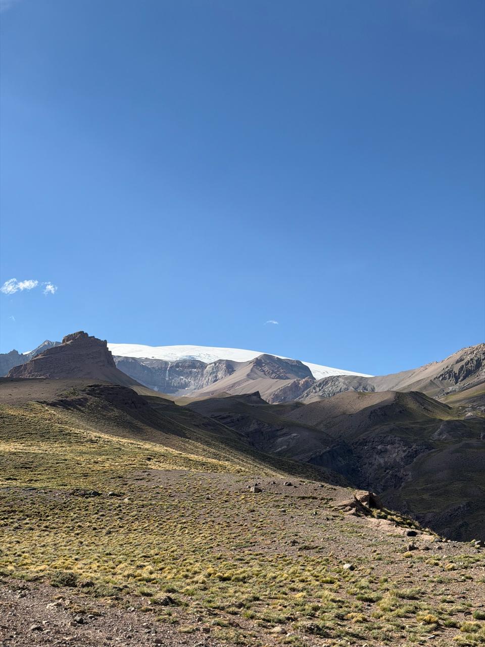 Caravana de mulas arrieros cruce cordillera Andes