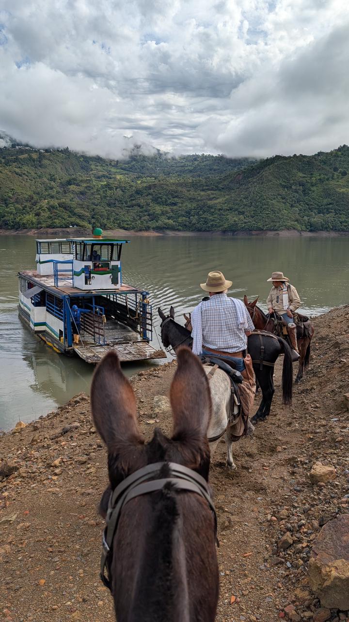 Ferry con caballos Embalse La Esmeralda Macanal