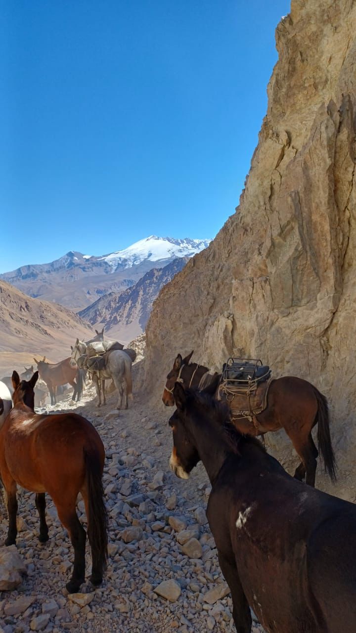 andes 005