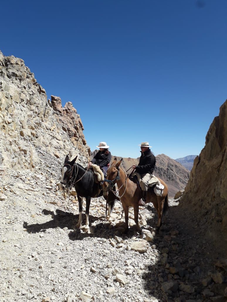 andes 004