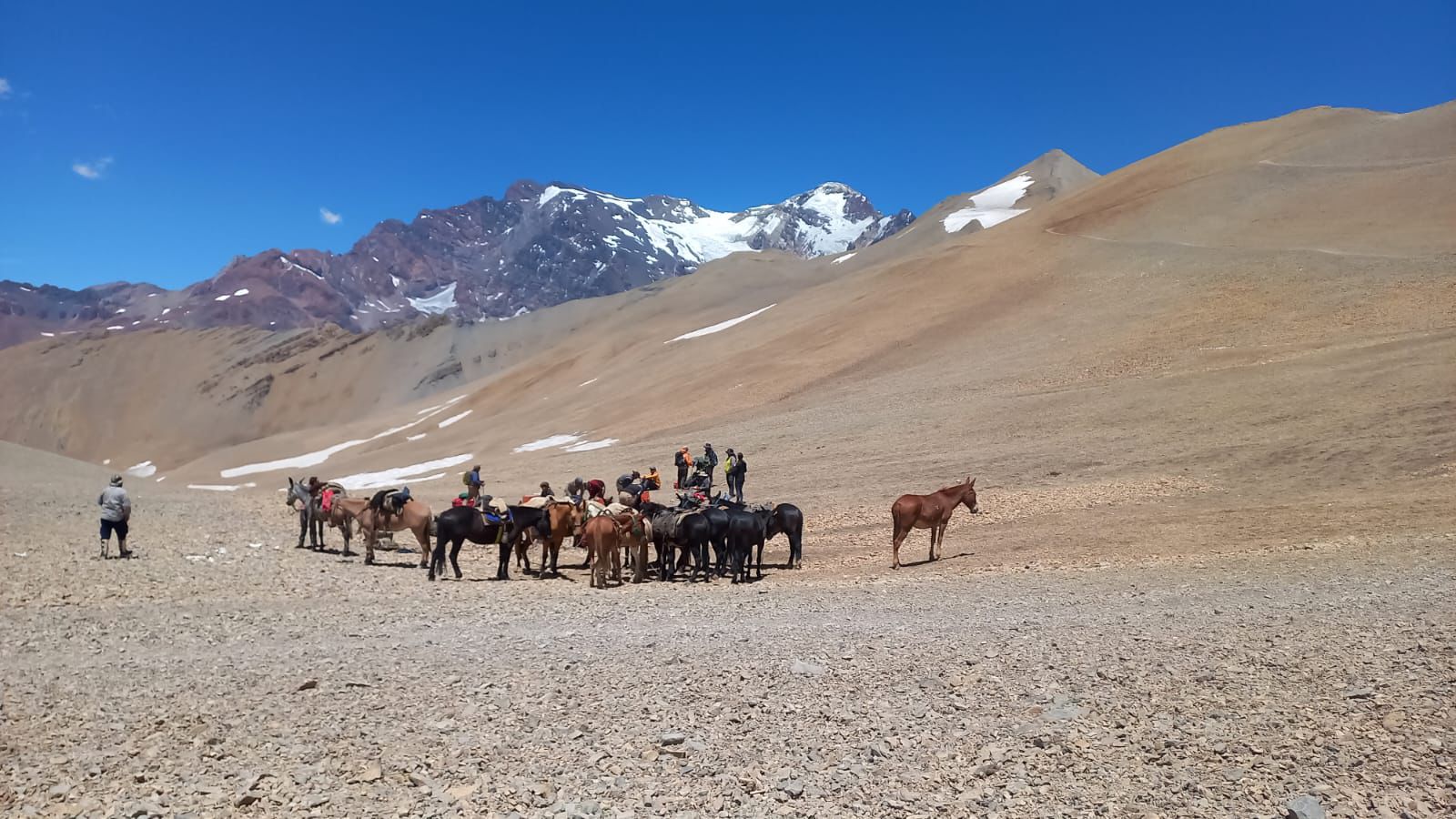 andes 002