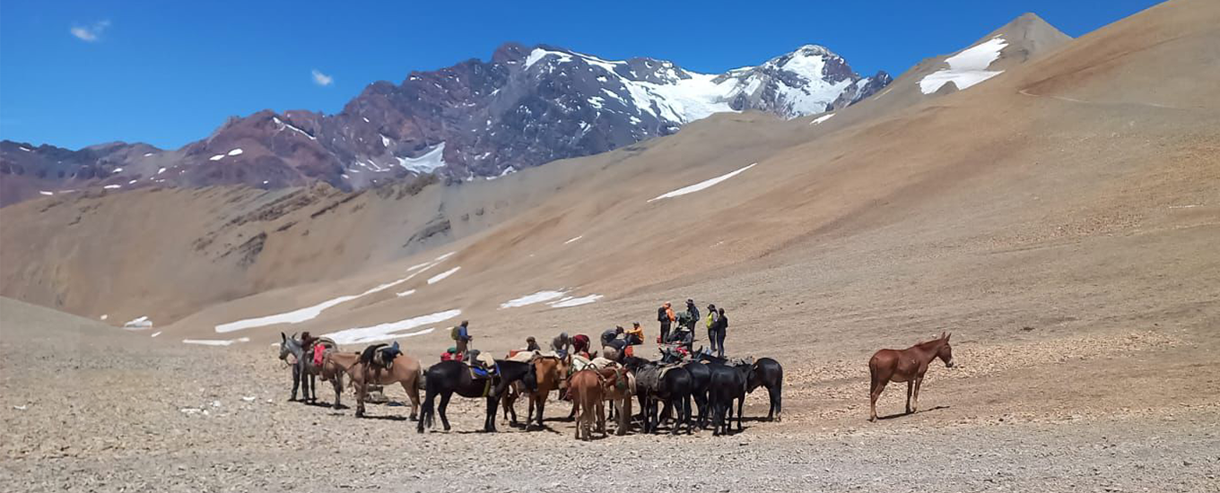 Argentina - Cruce de los Andes
