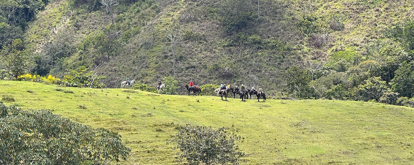 Paisaje Antioquia