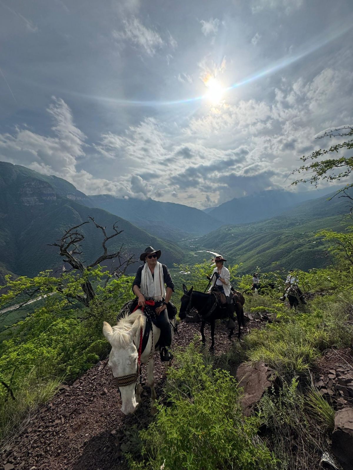 Jinete en mula blanca sobre el Cañón del Chicamocha, con el río al fondo