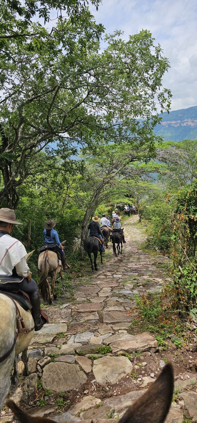 Camino real de Lengerke en la Mesa de los Santos, a lomo de mula