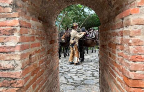 10-arco-de-ladrillo-ensillando-mulas Guía ensillando una mula, visto a través de un arco de ladrillo