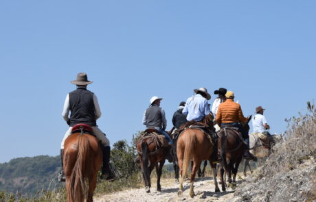 Jinetes en fila por un camino de piedra bajo cielo azul en la cabalgata Suesca – Cucunubá, Suesca