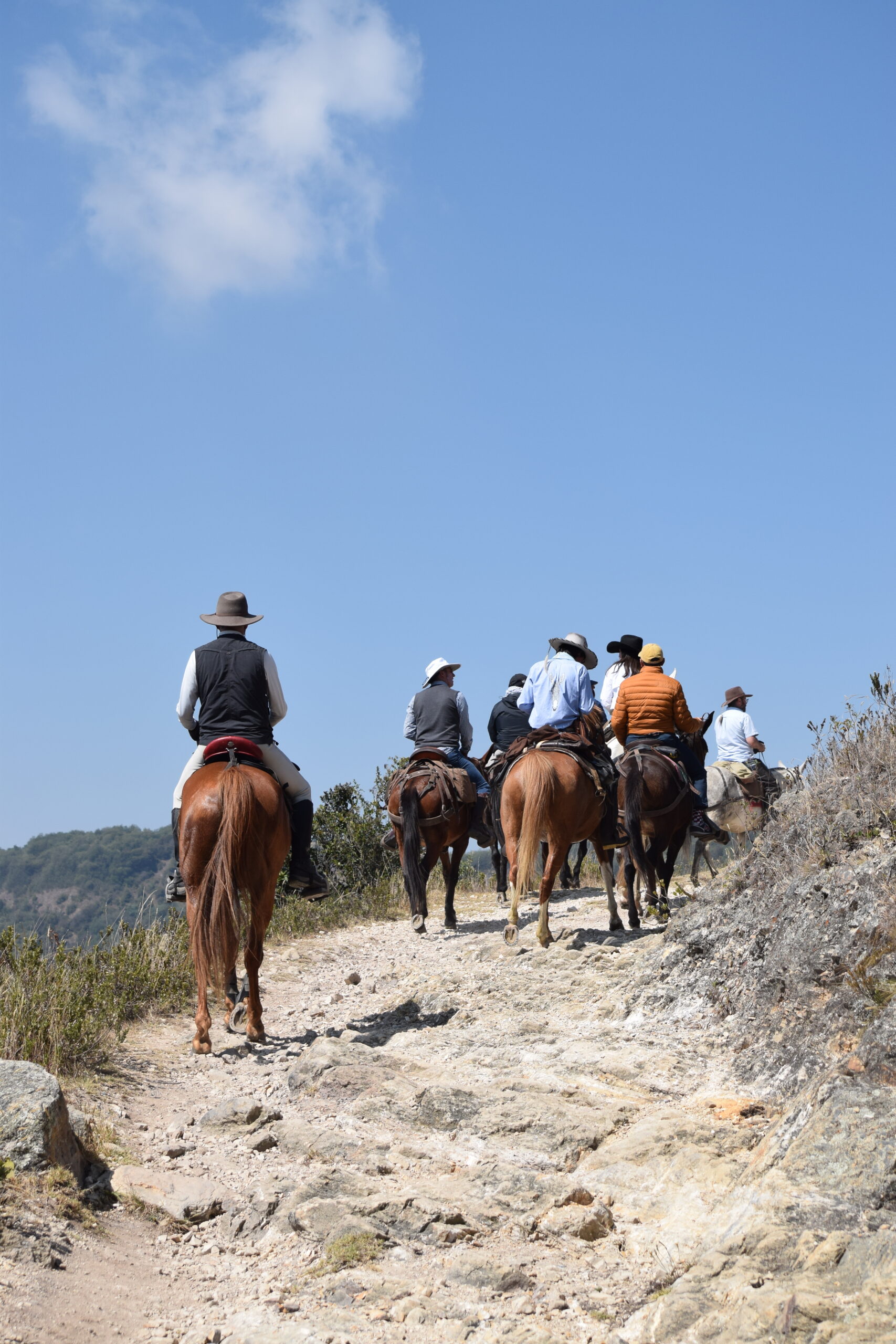 DSC_1010 (1) Jinetes en fila por un camino de piedra bajo cielo azul en la cabalgata Suesca – Cucunubá, Suesca