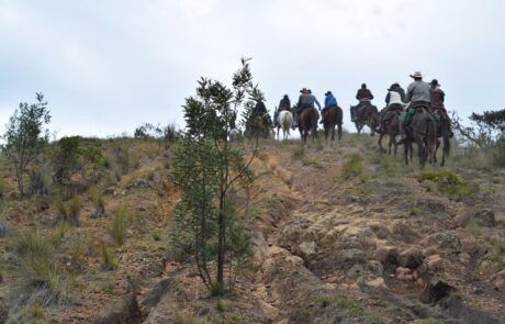 Fila de jinetes en lo alto de una colina con arbustos en la cabalgata Suesca – Cucunubá, Suesca